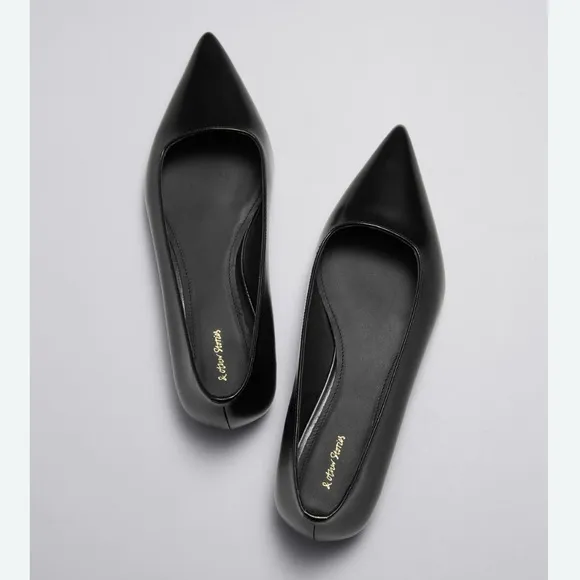 &amp; Other Stories Point Toe Ballet Flats