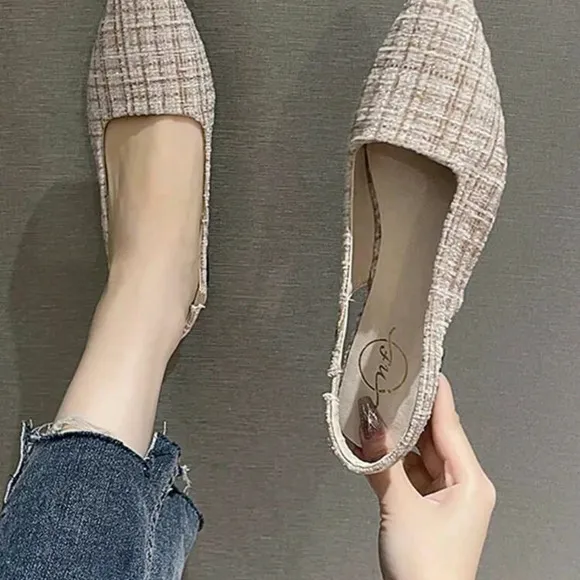 Elegant Women's Shoes - Pointed Toe Low-Heeled French Style Romantic Ladies'