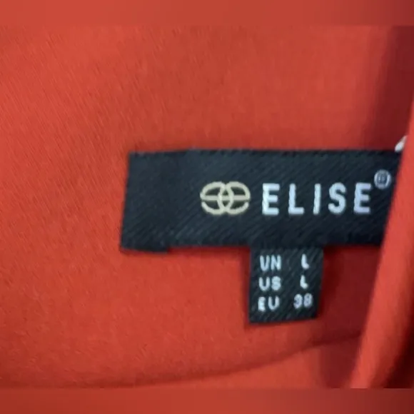 Elise Stunning Burnt Orange Pleated Dress Size L EUC