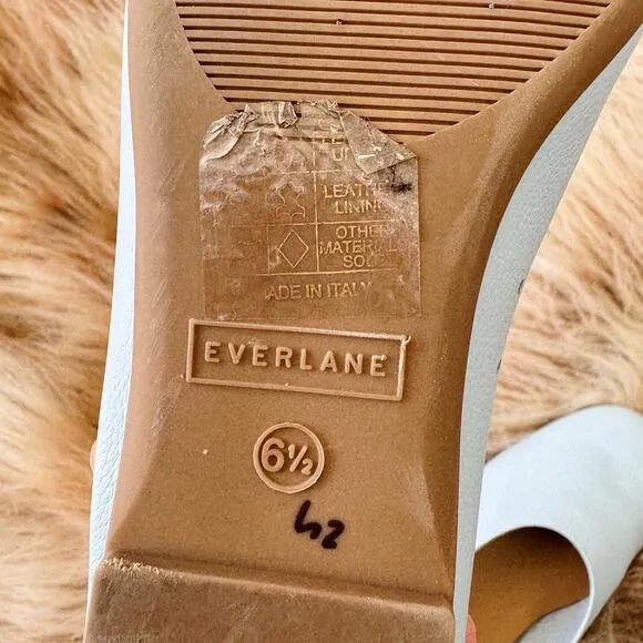 Everlane The Italian Leather Day Glove Ballet Flats Sky Blue Size 6.5
