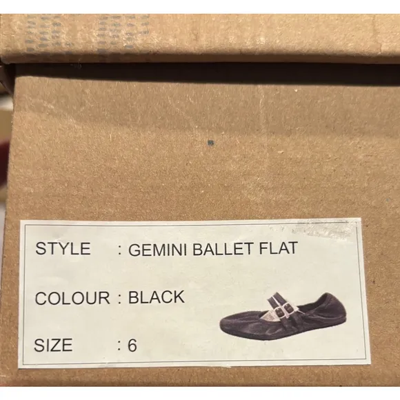 Free People Women’s Gemini Ballet Flat size 6
