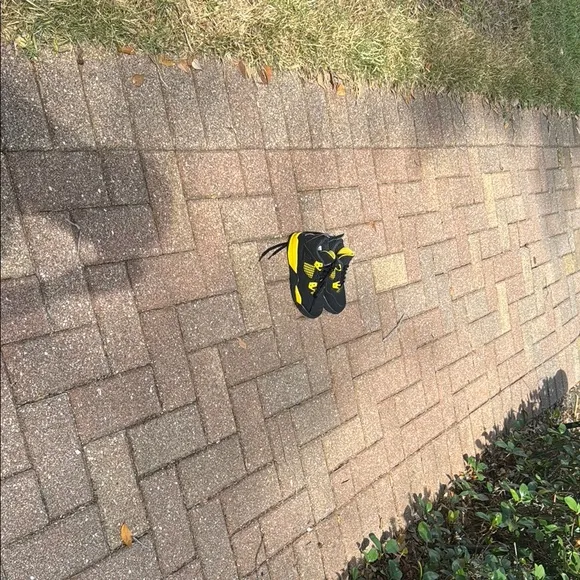 Nike Jordan 4 Thunder Black and Yellow Performance