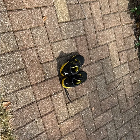 Nike Jordan 4 Thunder Black and Yellow Performance