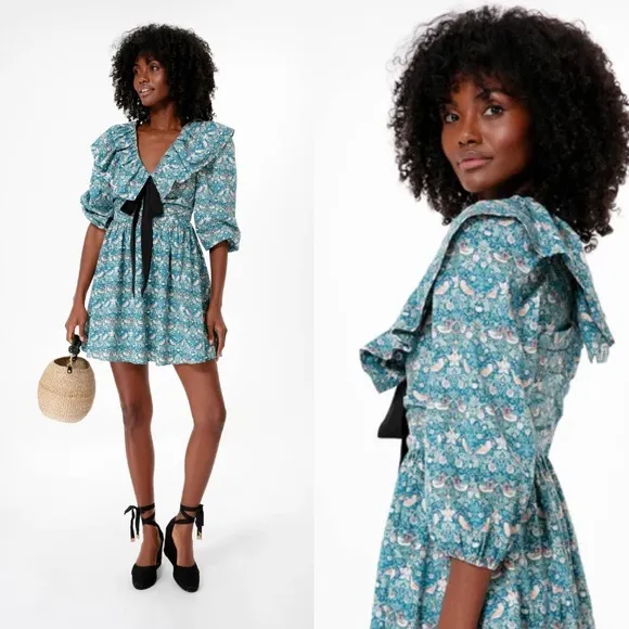 NWT Hyacinth House Ruffle Collar Birdsong Mini Dress