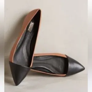 NWT Schutz Eufrasia Pointed Toe Flats