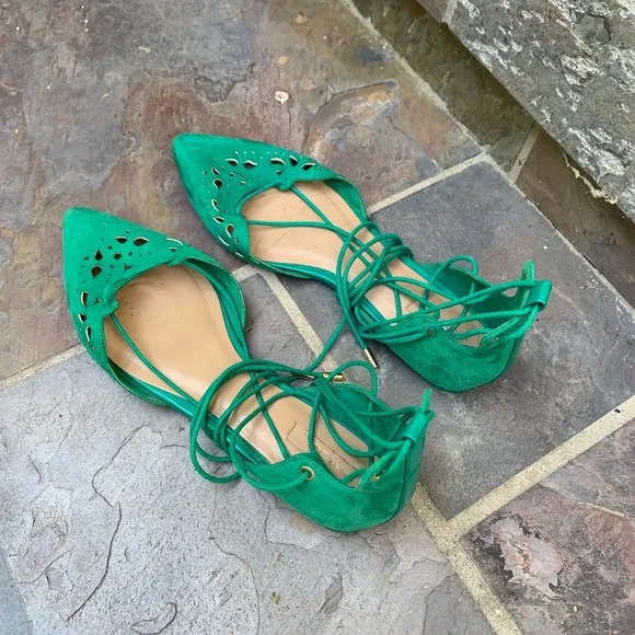 Pointed Toe Lace Up Ballet Flats