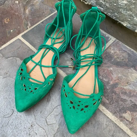 Pointed Toe Lace Up Ballet Flats