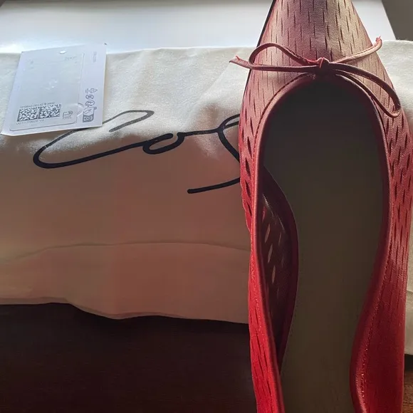 Red Flats with Pointed Toe and Decorative Bow