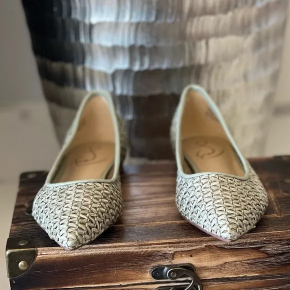 Sam Edelman Wanda Pointed Toe Flats in Light Gray
