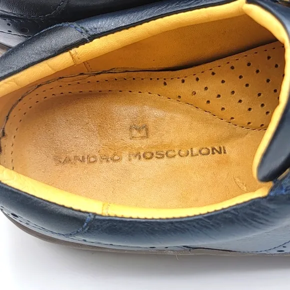 SANDRO MOSCOLONI Noah Slip-on Navy Sneakers Size 12D. #S1226