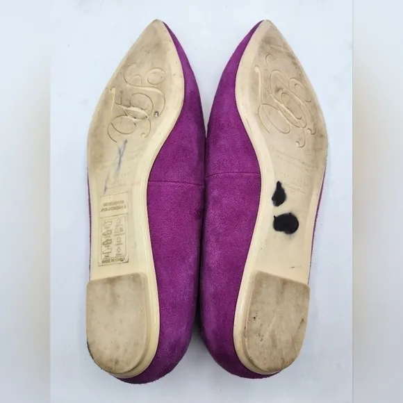 Ted Baker London Oleshky Magenta And Gold Pointy Toe Flats Size 40, 9.5